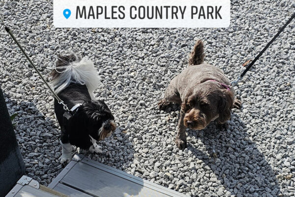 Maisie and Nelly - June 25